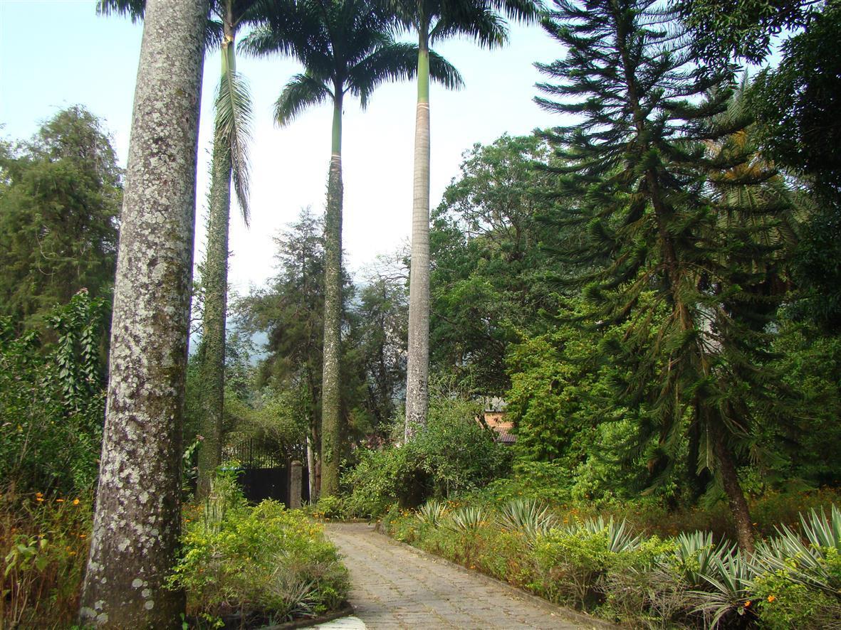 לינה וארוחת בוקר קשואיירס דה מקאקו Casa De Campo Dos Sonhos מראה חיצוני תמונה